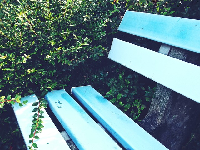 他还特别关 他还特别关