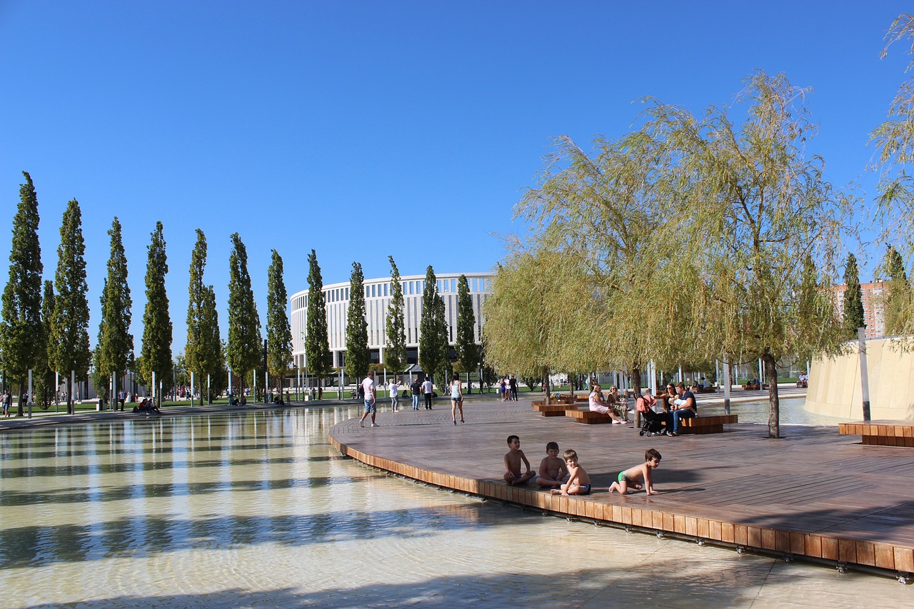 投资者投入 投资者投入