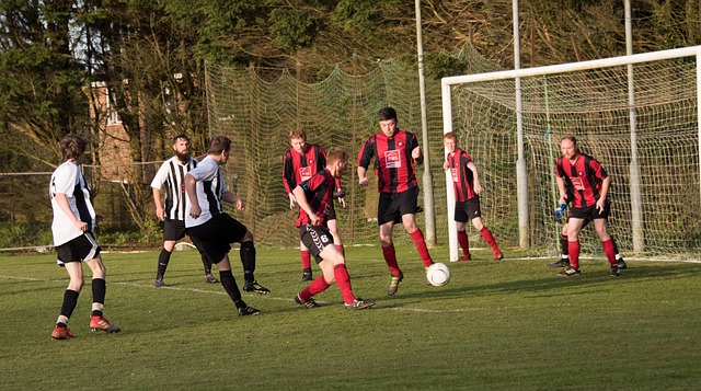 解和对比赛 解和对比赛