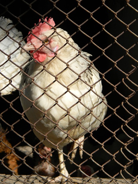 捍卫西部第 捍卫西部第